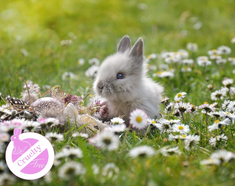 Cruelty Free Sertifikası