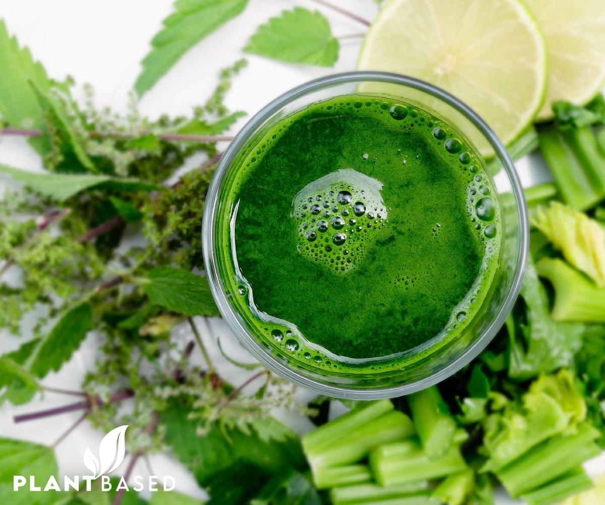 Plant Based Sertifikası' nın Faydaları
