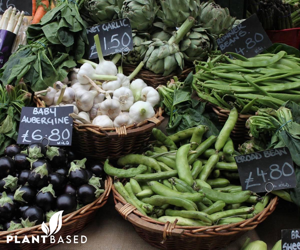 Plant Based Sertifikası Fiyatı