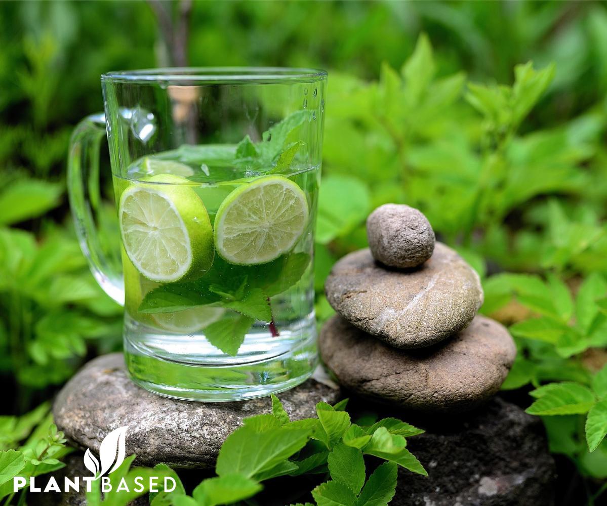 Plant Based Sertifikası Nereden Alınır?