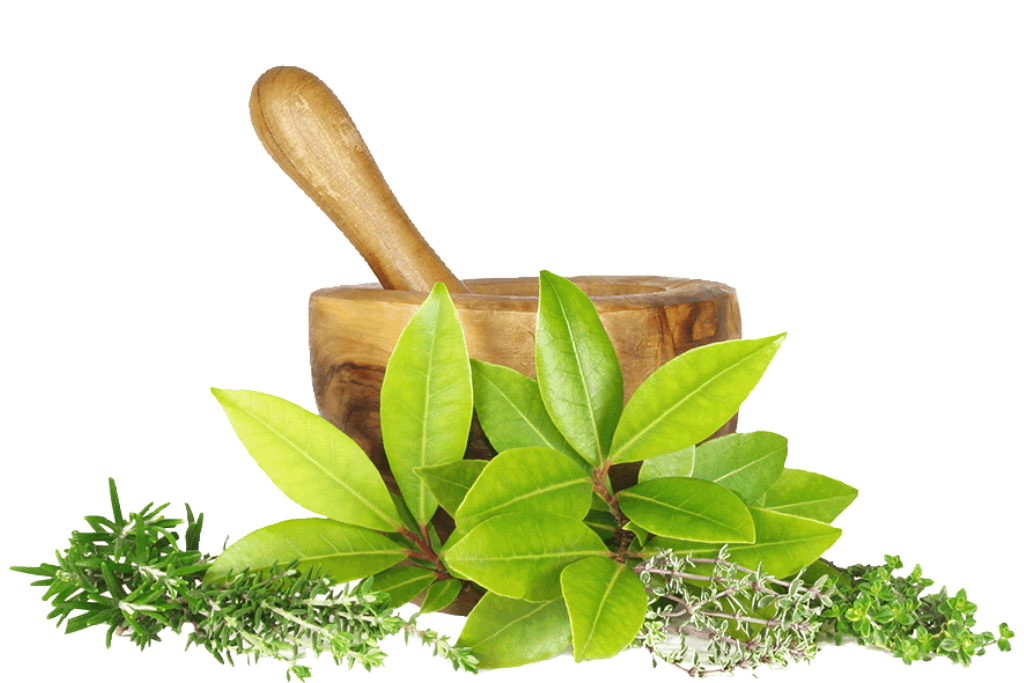 Plant-Based Sertifikası